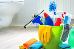 Messie Reinigung Bruchsal