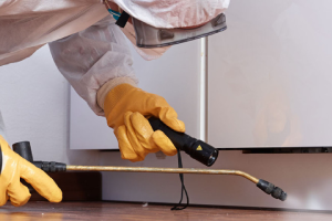 Messie Schädlingsbekämpfung Bruchsal